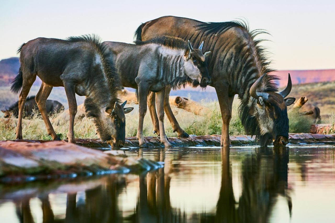 We Kebi Safari Lodge Sesriem Εξωτερικό φωτογραφία