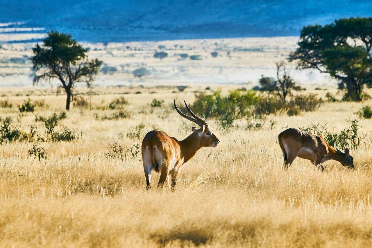 We Kebi Safari Lodge Sesriem Εξωτερικό φωτογραφία